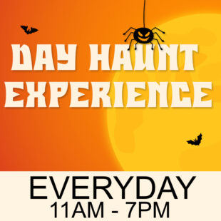 Day Haunt Experience
